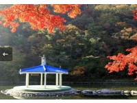 [상품코드 6199] 당일내장산여행 ITX새마을- 내장산조각공원ㆍ내장산단풍 기차여행(가이드동행) 중식제공 08:44출발