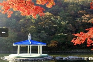 [상품코드 6199] 당일내장산여행 ITX새마을- 내장산조각공원ㆍ내장산단풍 기차여행(가이드동행) 중식제공 08:44출발