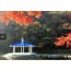 [상품코드 6199] 당일내장산여행 ITX새마을- 내장산조각공원ㆍ내장산단풍 기차여행(가이드동행) 중식제공 08:44출발