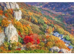 [상품코드 6399] 당일 선운산단풍여행 [S-train] 선운산ㆍ고창읍성 기차여행 (가이드동행)중식제공