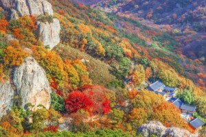 [상품코드 6399] 당일 선운산단풍여행 [S-train] 선운산ㆍ고창읍성 기차여행 (가이드동행)중식제공