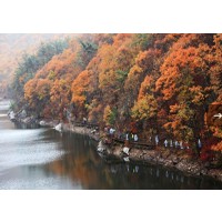 [상품코드 6788] 당일내변산단풍여행 [S-train] 내변산 직소폭포 & 새만금드라이브 기차여행(가이드동행)중식제공