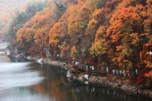 [상품코드 6788] 당일내변산단풍여행 [S-train] 내변산 직소폭포 & 새만금드라이브 기차여행(가이드동행)중식제공