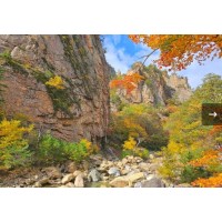 [상품코드 6388] 당일 ITX청춘- 남설악/주전골단풍 ㆍ춘천/청평사 기차여행(가이드동행)중식,석식제공