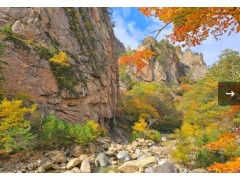[상품코드 6388] 당일 ITX청춘- 남설악/주전골단풍 ㆍ춘천/청평사 기차여행(가이드동행)중식,석식제공