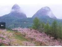 [상품코드 6288] 당일 마이산단풍여행 KTX- 진안ㆍ마이산 & 전주 한옥마을 기차여행(가이드동행)중식제공