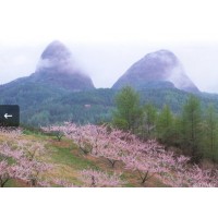 [상품코드 6288] 당일 마이산단풍여행 KTX- 진안ㆍ마이산 & 전주 한옥마을 기차여행(가이드동행)중식제공