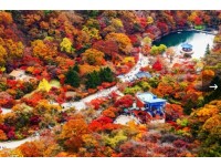 [상품코드 6304] [KTX/가을] 단풍 명소 백양사 애기단풍 당일 기차여행 ( 08:20분출발)