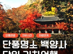 [상품코드 6304] [KTX/가을] 단풍 명소 백양사 애기단풍 당일 기차여행 ( 08:20분출발)