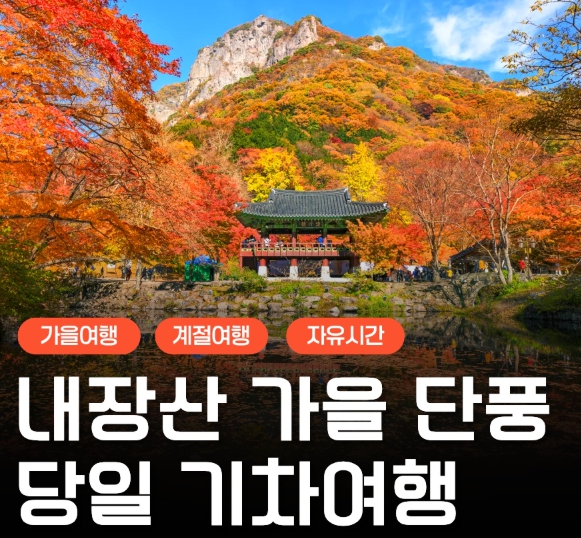 [상품코드 6305] [KTX/가을] 2026년 단풍명소! 내장산 단풍 기차여행 (10/24~11/15) 08:20분 출발확정
