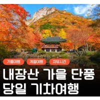 [상품코드 6305] [KTX/가을] 2026년 단풍명소! 내장산 단풍 기차여행 (10/24~11/15) 08:20분 출발확정