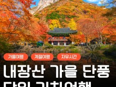 [상품코드 6305] [KTX/가을] 2026년 단풍명소! 내장산 단풍 기차여행 (10/24~11/15) 08:20분 출발확정