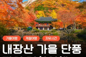 [상품코드 6305] [KTX/가을] 2026년 단풍명소! 내장산 단풍 기차여행 (10/24~11/15) 08:20분 출발확정