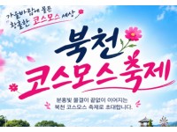 [상품코드 7034] 당일 코스모스가을여행 하동 북천코스모스축제&삼천포 유람선(가이드동행) [중식,석식(도시락)제공] 서울권,충청권,경상권 출발 ~! 9/29,30 10/1.2.3.4 출발