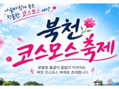 [상품코드 7034] 당일 코스모스가을여행 하동 북천코스모스축제&삼천포 유람선(가이드동행) [중식,석식(도시락)제공] 서울권,충청권,경상권 출발 ~! 9/29,30 10/1.2.3.4 출발