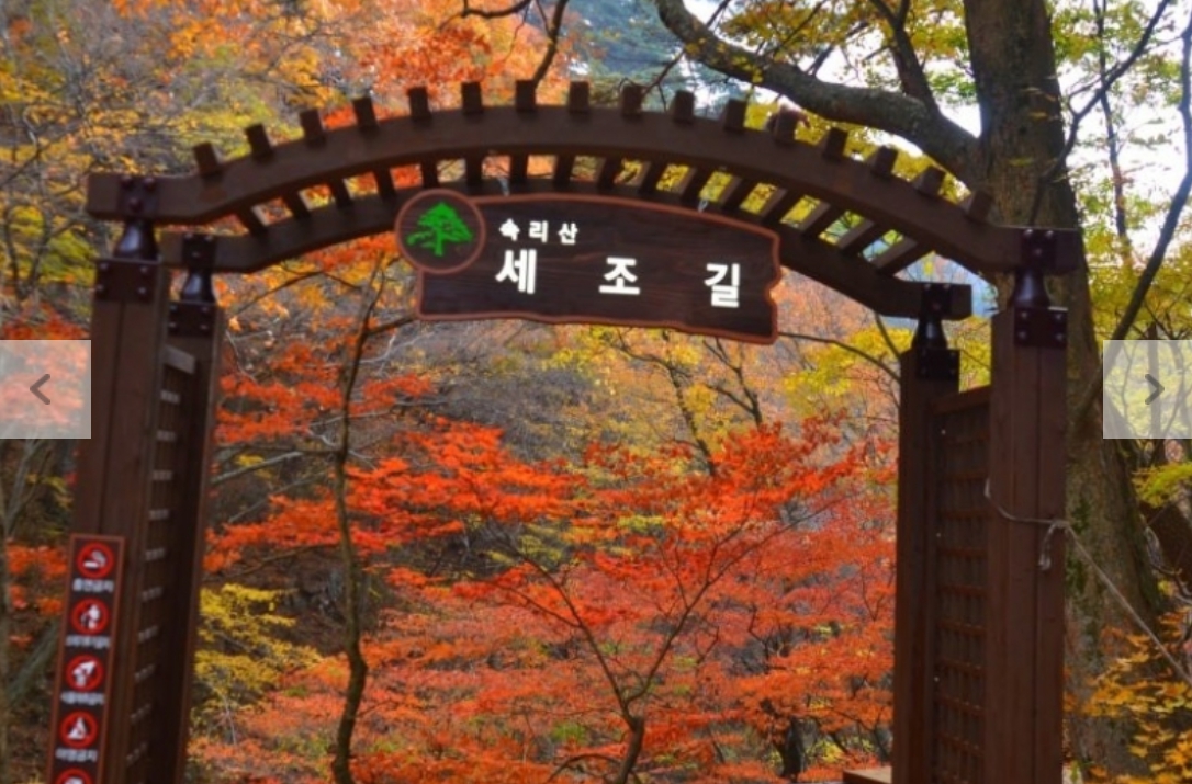 [상품코드 7789] 당일 속리산여행 ★가을단풍★속리산 법주사&세조길(가이드동행)중식제공 서울권,충청권,경상권 출발 ~!