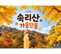 [상품코드 7789] 당일 속리산여행 ★가을단풍★속리산 법주사&세조길(가이드동행)중식제공 서울권,충청권,경상권 출발 ~!