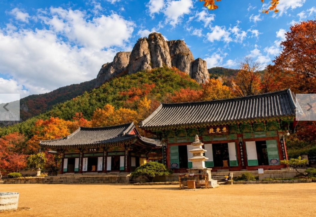 [상품코드 7479] 당일주왕산단풍여행 주왕산 단풍&주산지(가이드동행) 석식제공 [서울권,충청권,전라권,경상권 출발]