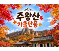 [상품코드 7479] 당일주왕산단풍여행 주왕산 단풍&주산지(가이드동행) 석식제공 [서울권,충청권,전라권,경상권 출발]