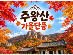 [상품코드 7479] 당일주왕산단풍여행 주왕산 단풍&주산지(가이드동행) 석식제공 [서울권,충청권,전라권,경상권 출발]