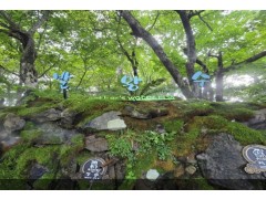[상품코드 6407] 당일강원도 숲길 한바퀴, 마음 한템포(횡성호수길&풍수원성당&발왕산케이블카(중식제공) 가이드동행