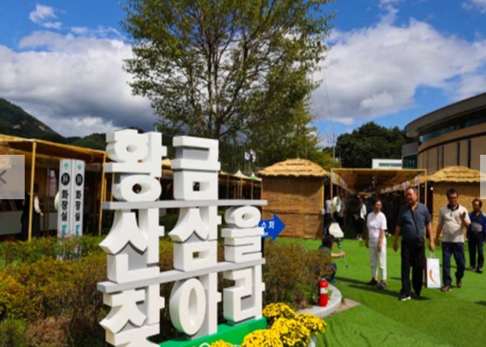 [상품코드 7101] ★특가★함양 산삼축제&우두산 출렁다리(중식제공)함양상품권(1만원)증정 10/9~11일까지 출발확정 ~