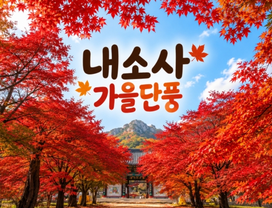 [상품코드 7104] 당일 계절여행 ★가을단풍★내소사 단풍&채석강(중식,석식제공)