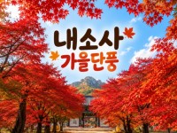 [상품코드 7104] 당일 계절여행 ★가을단풍★내소사 단풍&채석강(중식,석식제공)