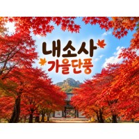 [상품코드 7104] 당일 계절여행 ★가을단풍★내소사 단풍&채석강(중식,석식제공)