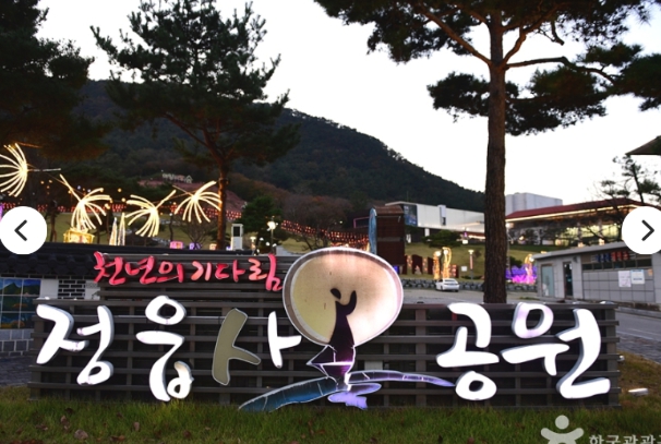 [상품코드 1600] 당일내장산단풍여행 [팔도장터열차] 11월 5일 정읍 내장산 단풍 / 아양사랑숲 핑크뮬리 11/5(목)하루출발