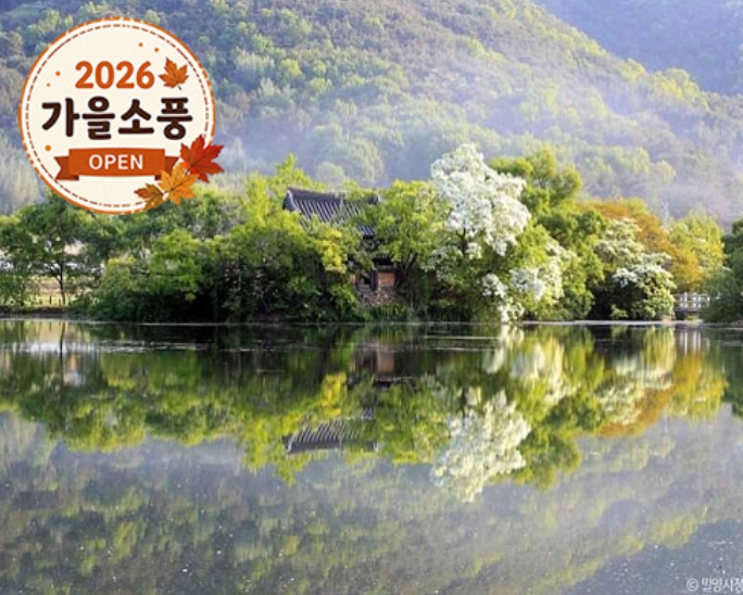 [상품코드 4005] ◆가을맞이◆[KTX-1박]무르익는 밀양+창녕 우포늪+함안 말이산고분군