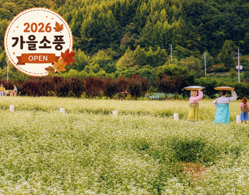 [상품코드 4008] 가을강원도단풍여행  [KTX-당일]가을힐링!평창시티투어♬ 월정사 전나무숲길+발왕산 케이블카 (중식제공)