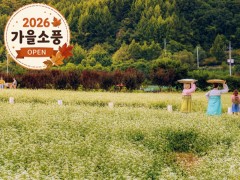 [상품코드 4008] 가을강원도단풍여행  [KTX-당일]가을힐링!평창시티투어♬ 월정사 전나무숲길+발왕산 케이블카 (중식제공)