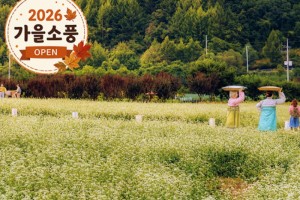 [상품코드 4008] 가을강원도단풍여행  [KTX-당일]가을힐링!평창시티투어♬ 월정사 전나무숲길+발왕산 케이블카 (중식제공)