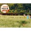 [상품코드 4008] 가을강원도단풍여행  [KTX-당일]가을힐링!평창시티투어♬ 월정사 전나무숲길+발왕산 케이블카 (중식제공)