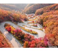 [상품코드 4113] 당일속리산 ◆가을맞이◆[ITX-당일]유네스코 세계유산 속리산 법주사+말티재 전망대