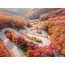 [상품코드 4113] 당일속리산 ◆가을맞이◆[ITX-당일]유네스코 세계유산 속리산 법주사+말티재 전망대