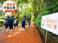 [상품코드 4114] ◆가을맞이◆[ITX-당일]*중식제공*대전 계족산 황토길 맨발걷기+국립세종수목원