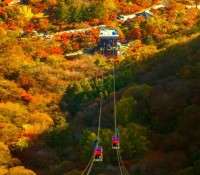 [상품코드 6801] [에코레일/관광열차] 정읍 내장산&무성서원&내소사 1박2일 가을 기차여행-3식 제공 11/24(화) 출발확정