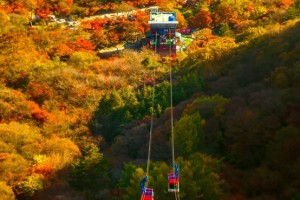 [상품코드 6801] [에코레일/관광열차] 정읍 내장산&무성서원&내소사 1박2일 가을 기차여행-3식 제공 11/24(화) 출발확정