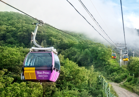 [상품코드 6299] 1박2일 강원도여행  KTX- 오대산ㆍ설악산ㆍ발왕산 케이블카 기차여행(가이드동행)(전일정식사제공)11/7(토) 출발확정