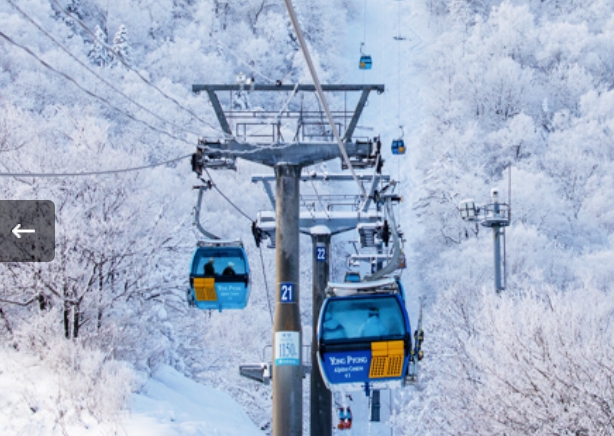 [상품코드 6599] KTX- 발왕산 케이블카 & 겨울바다ㆍ묵호항/정동진 기차여행 (가이드동행) 중식제공
