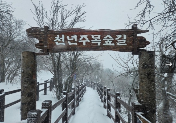 [상품코드 6599] KTX- 발왕산 케이블카 & 겨울바다ㆍ묵호항/정동진 기차여행 (가이드동행) 중식제공