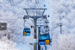 [상품코드 6599] KTX- 발왕산 케이블카 & 겨울바다ㆍ묵호항/정동진 기차여행 (가이드동행) 중식제공