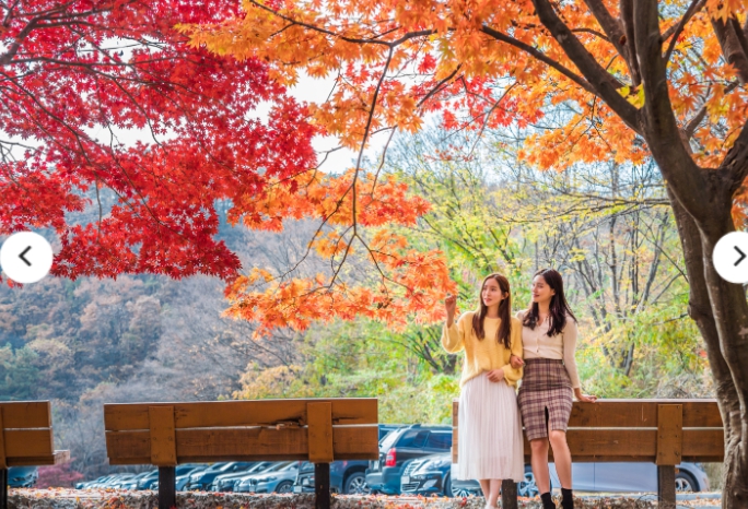 [상품코드 3901] [KTX] 완주 대둔산 가을 단풍 & 아원고택 + 익산 미륵사지 하루 기차여행 (가이드동행) 중식,석식제공