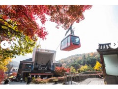 [상품코드 3901] [KTX] 완주 대둔산 가을 단풍 & 아원고택 + 익산 미륵사지 하루 기차여행 (가이드동행) 중식,석식제공