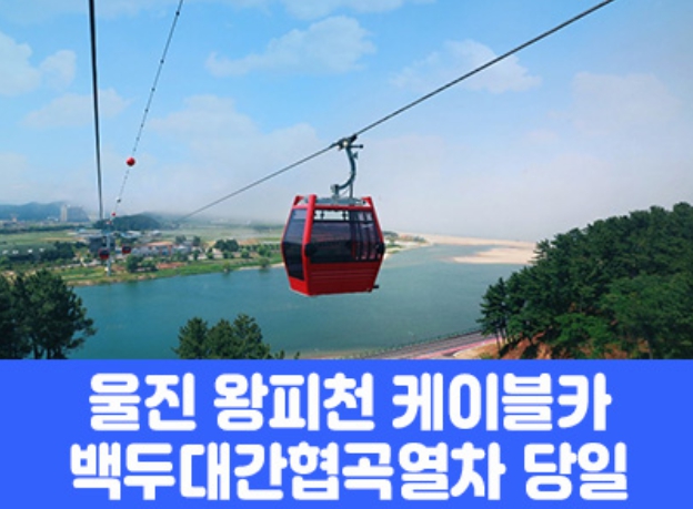[상품코드 7871] 당일 - 협곡열차여행 죽변해안스카이레일&동해바다 협곡열차 [석식제공]  [서울/경기/충청/부산 출발]
