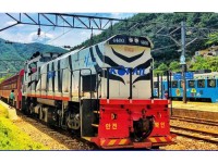 [ 당일 - 협곡열차여행 ] 죽변해안스카이레일&동해바다 협곡열차 [석식제공]  [서울/경기/충청/부산 출발]