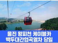 [상품코드 7871] 당일 - 협곡열차여행 죽변해안스카이레일&동해바다 협곡열차 [석식제공]  [서울/경기/충청/부산 출발]