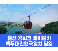 [상품코드 7871] 당일 - 협곡열차여행 죽변해안스카이레일&동해바다 협곡열차 [석식제공]  [서울/경기/충청/부산 출발]